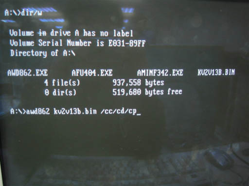 bios4.jpg